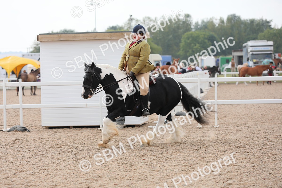 SBM_12765 - Class 307 Ridden Coloured Pony