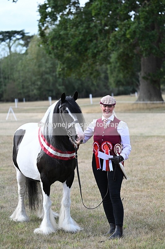 WJ7_8397 - In-hand Championship