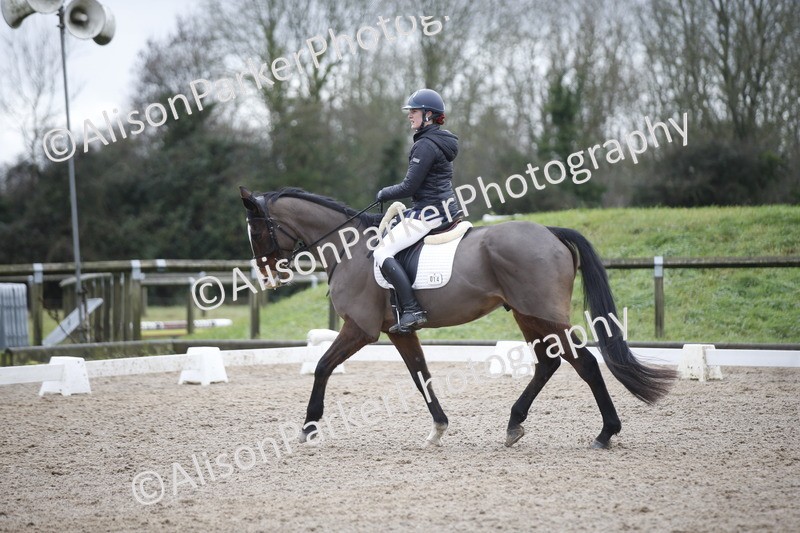 20260127-0250 - Class 16 - BD Novice 2