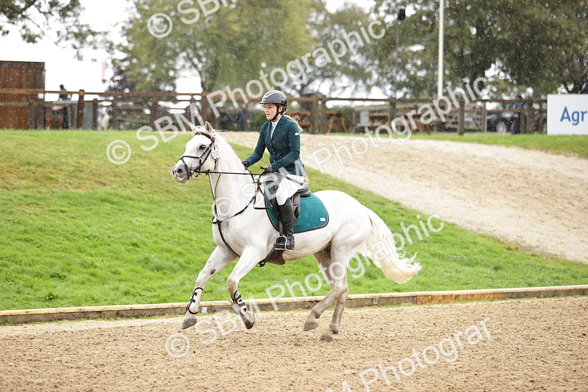SBM_35831 - J38 - Senior Horse & Pony 80cm Championship