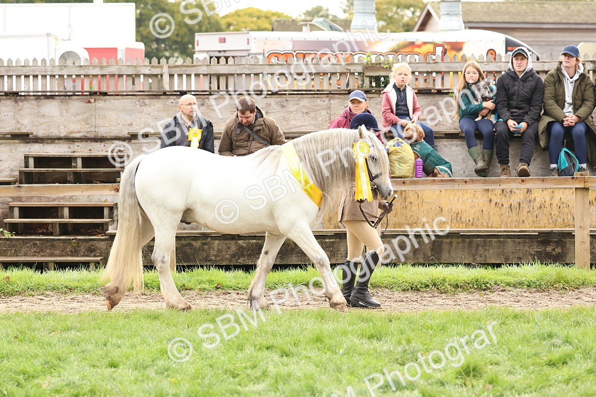 SBM_59747 - Start Supreme Championship