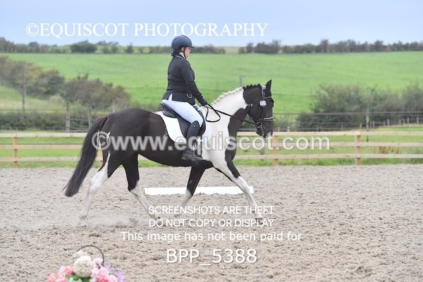 BPP_5388 - MY QUEST + INTRO TEST 1 & 2