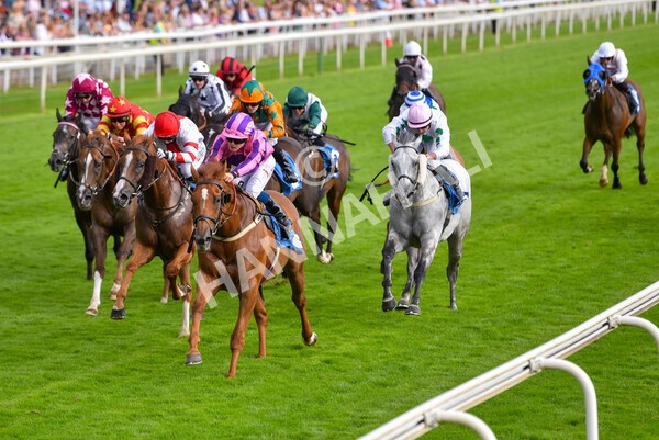 yr23072021r2-29 - Race 2 6.30pm IRE-Incentive It Pays To Buy Irish Stakes