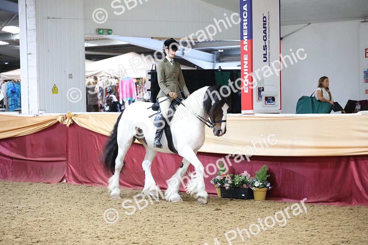 SBM_23684 - class 906 - Supreme Final - Ridden Pre Vet