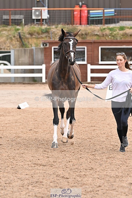 250716-144140-01316 - Trot Up 2.30 to 3.30