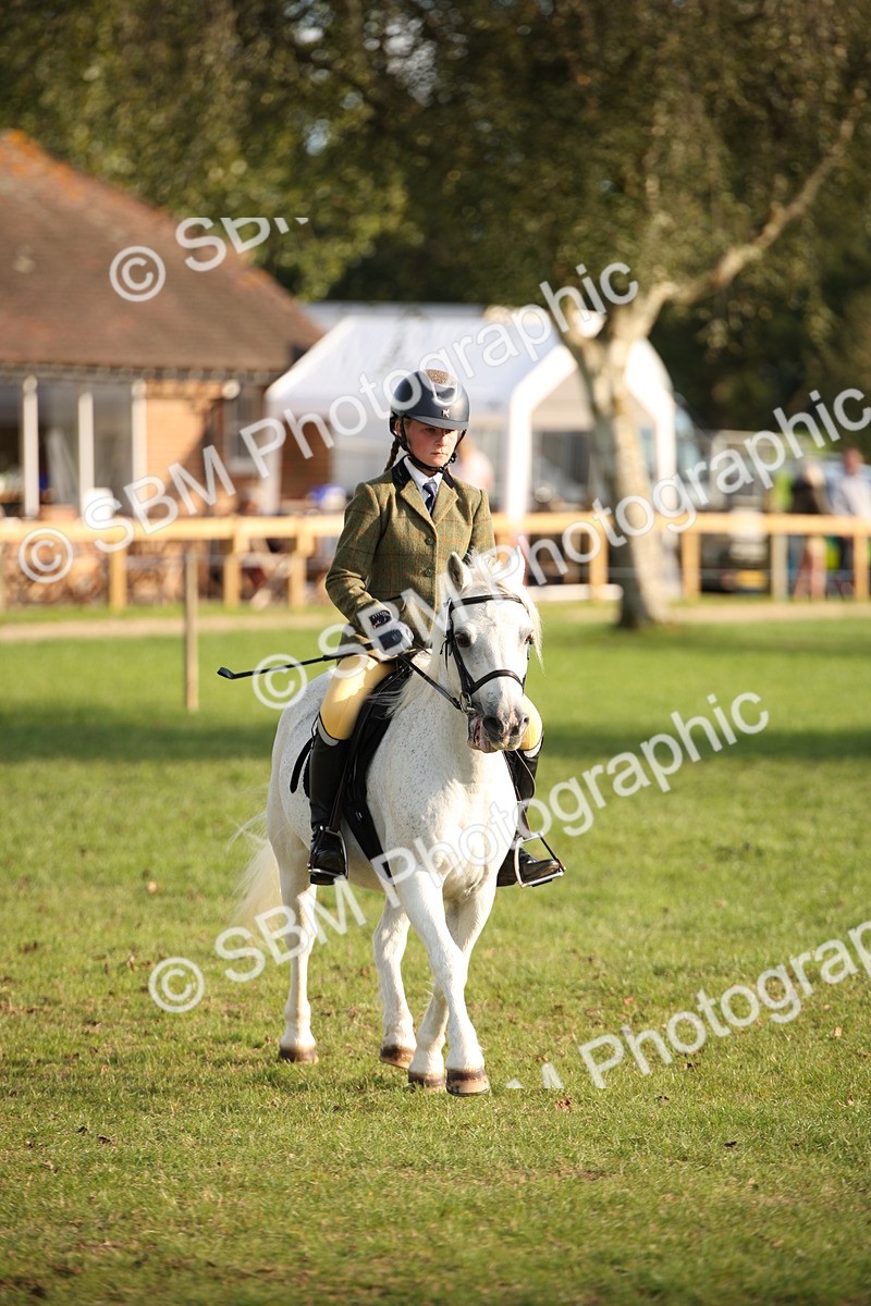 SBM_54345 - S27 - Mature Veteran - Ridden