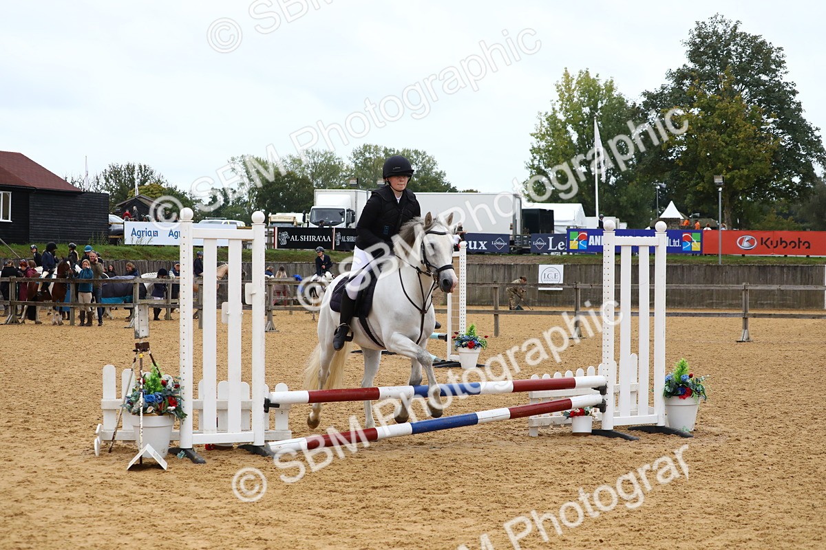 SBM_60109 - J63 - Junior Pony 50cm Championship