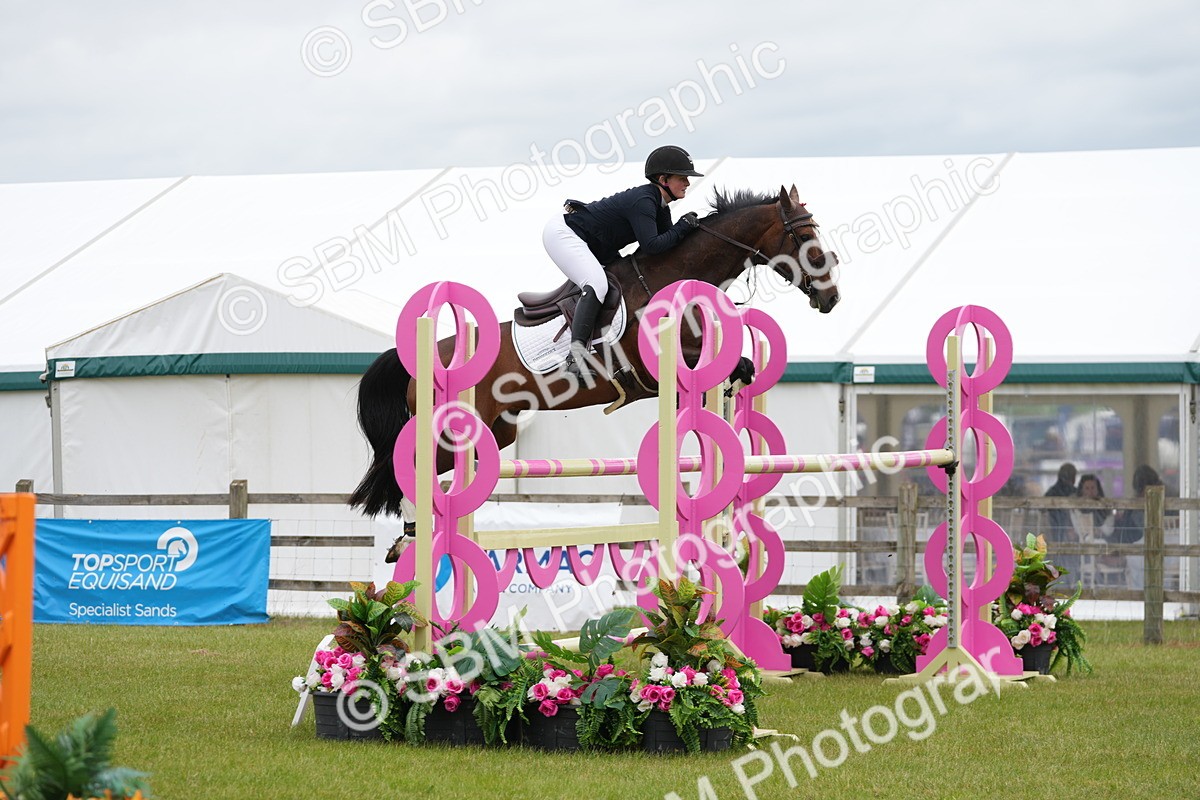 SBM_03161 - Class 201 - British Horse Feeds Speedi Beet Horse of the Year Show Grade  C