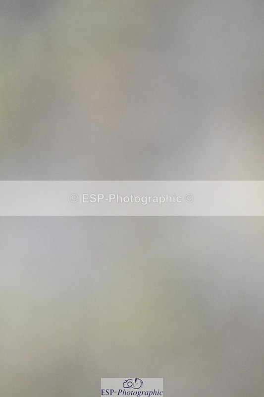 250831A-122519-10026 - Cls 36 Snr 1.30m Grand Prix