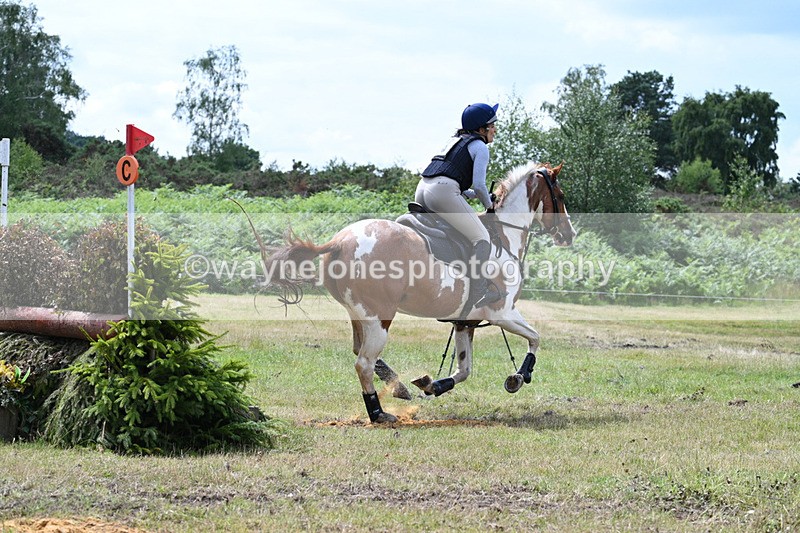WJ7_5764 - Time 13:29pm to 13:53pm