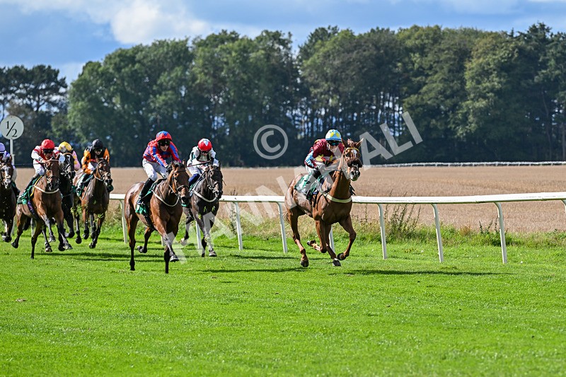 140926-Race 1-Satyress-6600 - Race 1 2.21pm Constant Security Services Apprentice Handicap