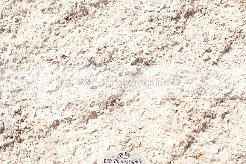 250815-133858-01207 - 1.30pm Presentations