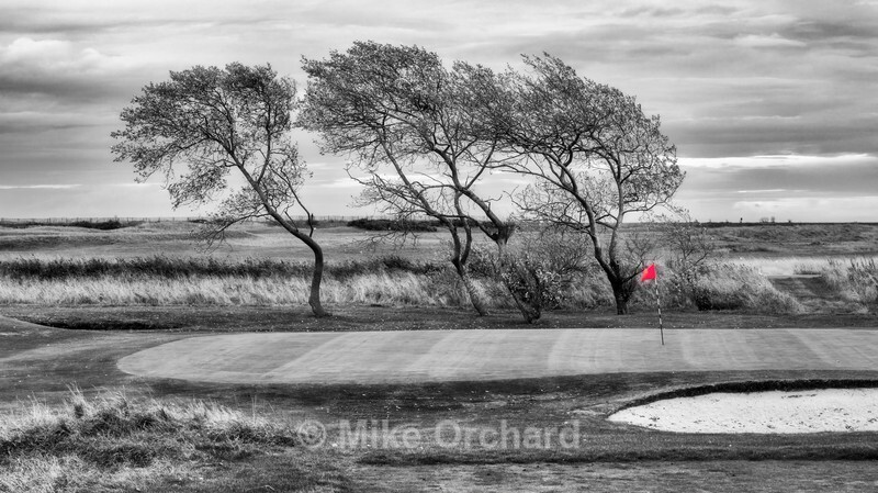 _DSC0955BW - Felixstowe - The Golf Club
