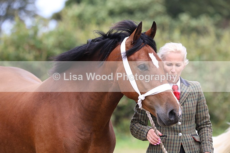 3E7A4478 - Class 15: Three Year Olds