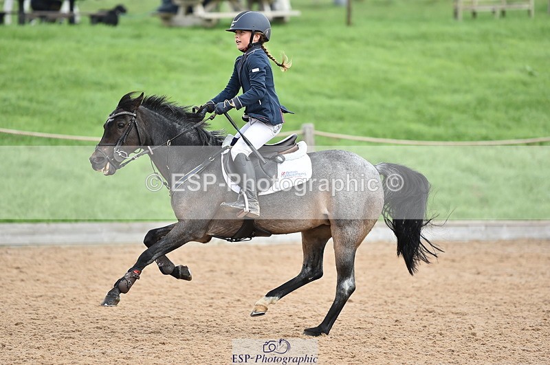 230902A-112006-00676 - Cls 2B Pony Small 80cm