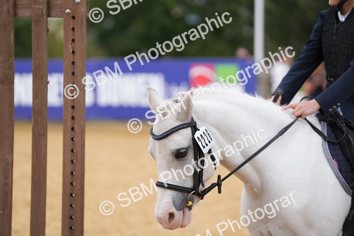 SBM_64358 - J2 - Mini Tour Junior Pony 30cm Championship