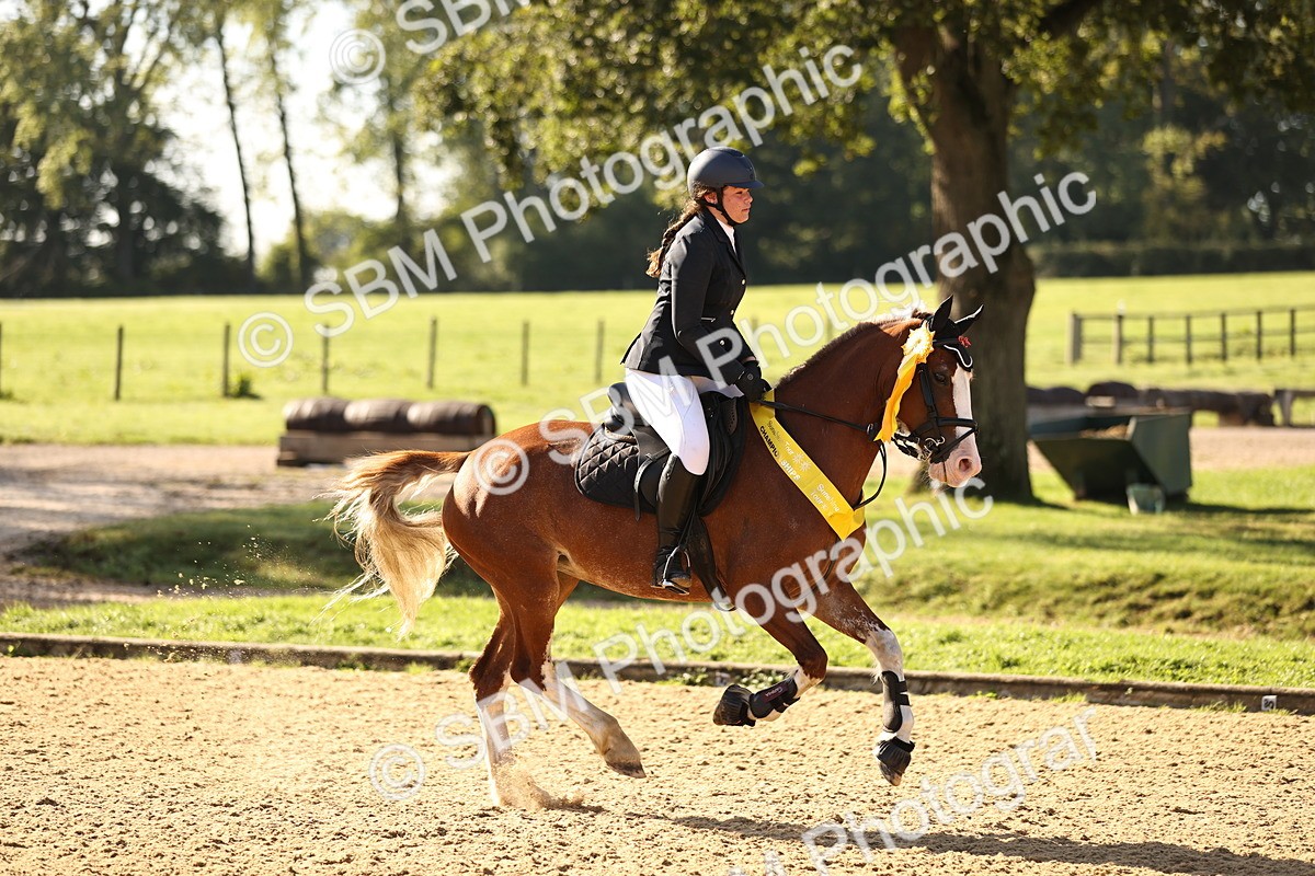 SBM_35225 - J38 - Senior 80cm Championship
