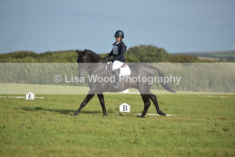 RAY_7447 - Class 2B: Trekenning Open: Dressage