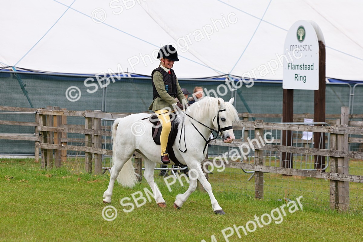 SBM_08513 - Class 42-43 - LIHS BSPS Heritage Working Sports Pony