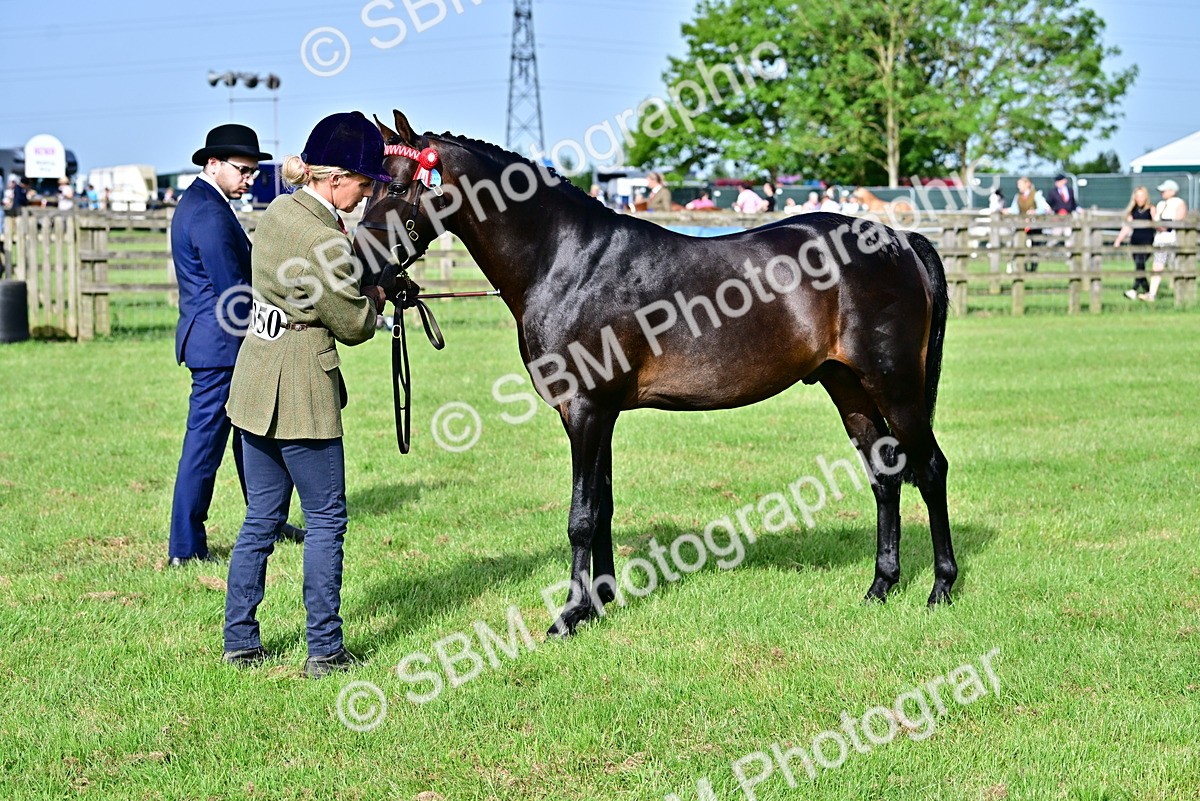 SBM_00945