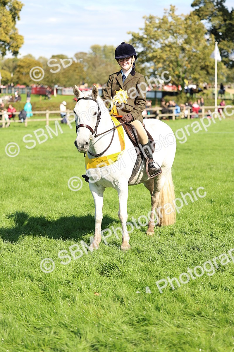SBM_45456 - S33 - Working Hunter Pony
