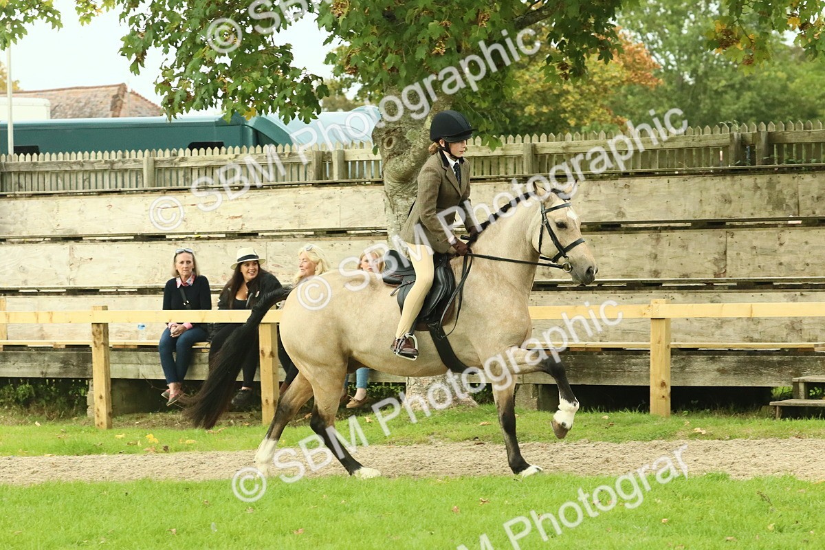 SBM_74022 - S 61 - Show Pony & Show Hunter Pony Ridden