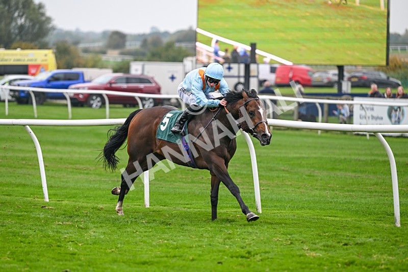 181025-Race 7-Lexington Blitz-1378 - Race 7