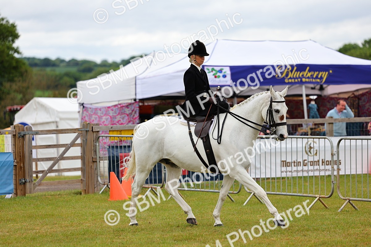 SBM_02712 - Class 9-11 Side Saddle including LIHS Rising Star Ladies Show Horse