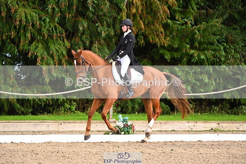 231021-162034-21095 - 265-EG.TIGER.CHILLI-Tayla.Mason-DR