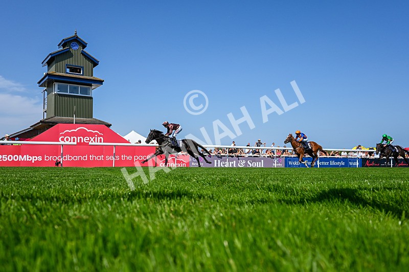 130826-Race 2-Concert Pitch-5258 - Race 2 14.45pm Welcome Racing TV Club Members Nursery Handicap