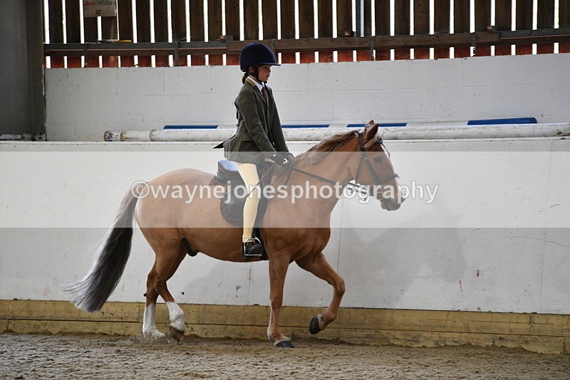 WJ5_6242 - Class 9 Ridden Veteran