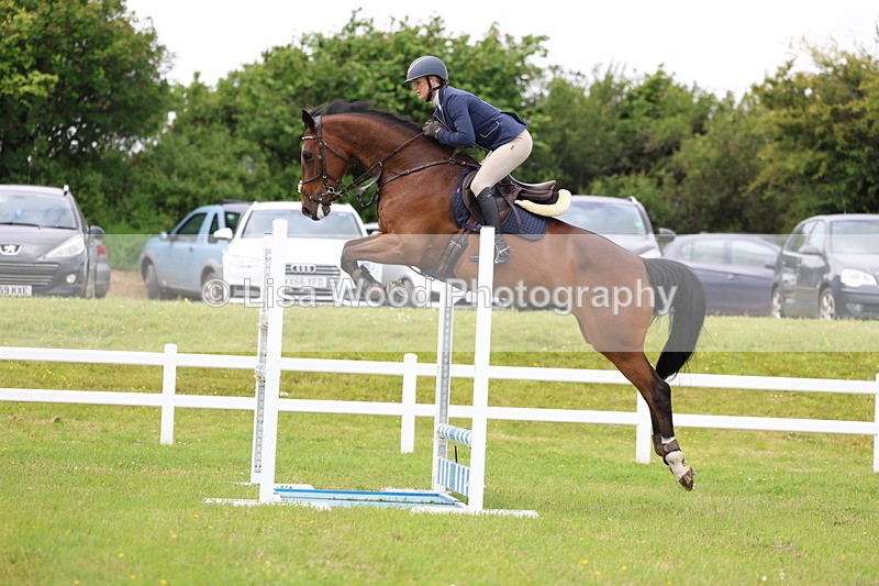 3E7A7138 - Class 12: Senior Foxhunter/1.20 open