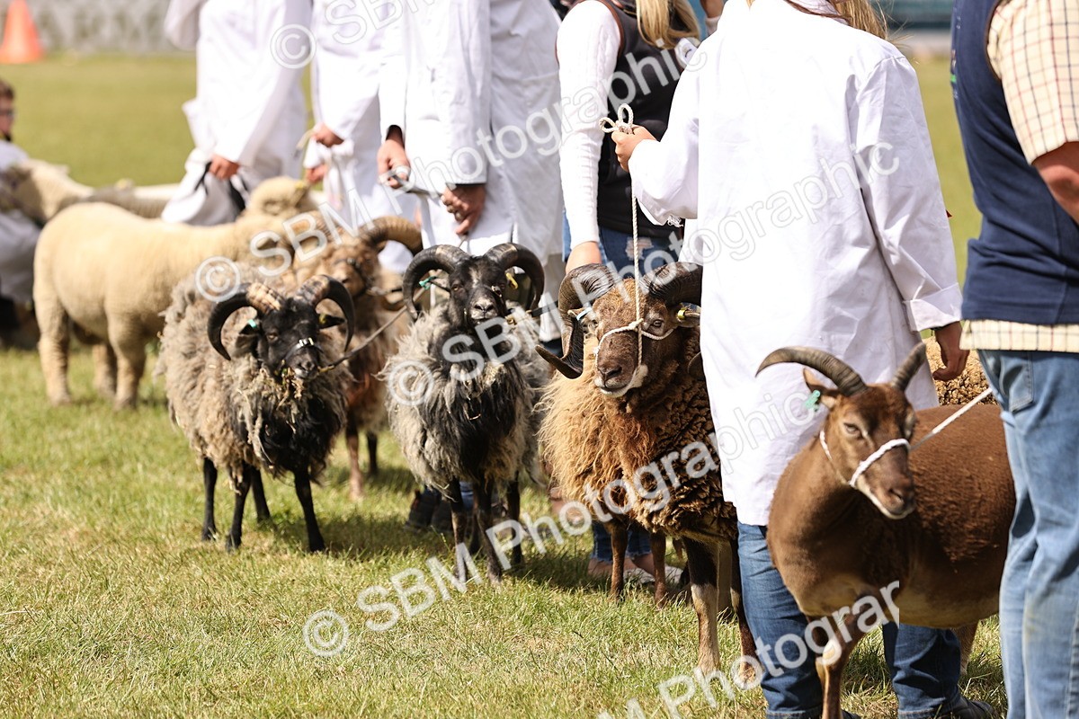 SBM_16922 - Grand Parade
