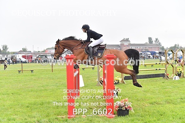 BPP_6602 - CLASS 1 Senior Newcomers/ 1.10m Open