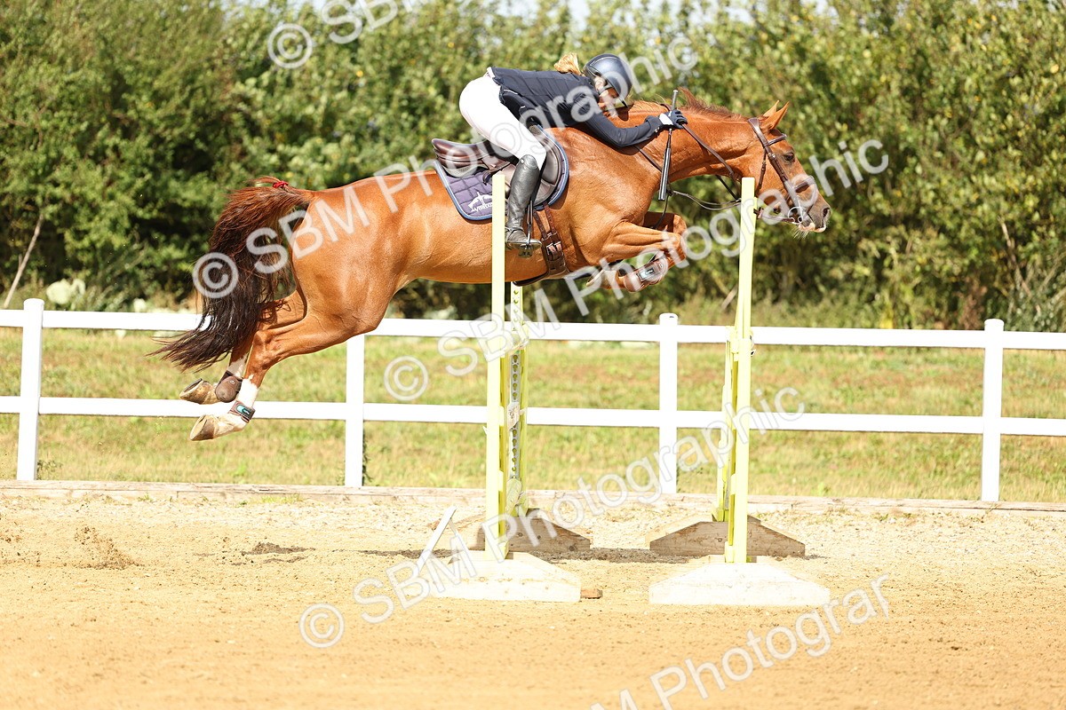 SBM_010425 - Class 4 - Senior Foxhunter - 1.20m Open