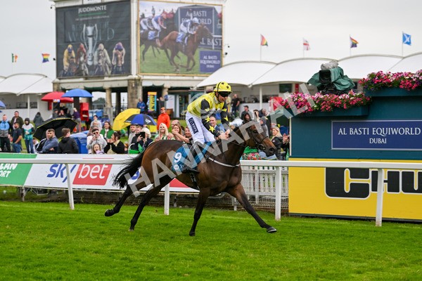 150624-F-Macmillan Ride Of Their Lives-6266 - 12.30pm Macmillan Ride of Their Lives