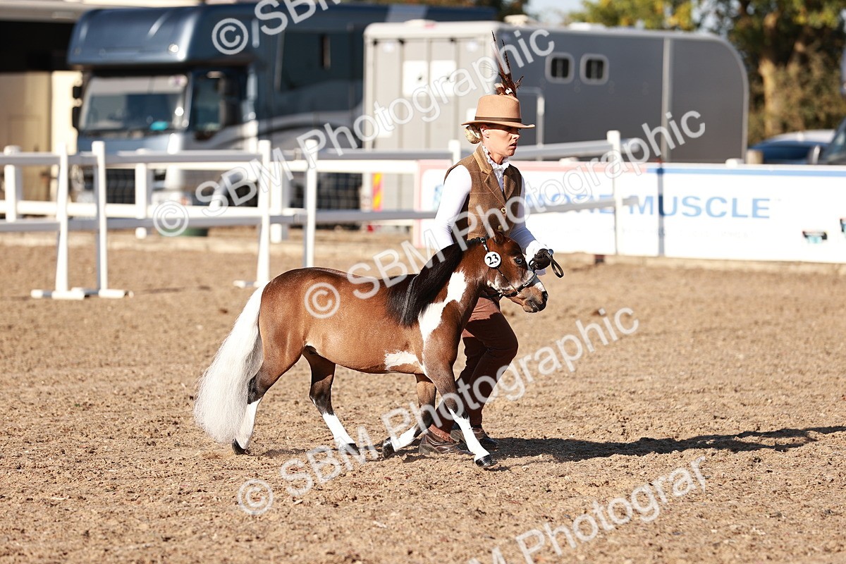 SBM_11388 - Class 402 - IH  Veteran pony