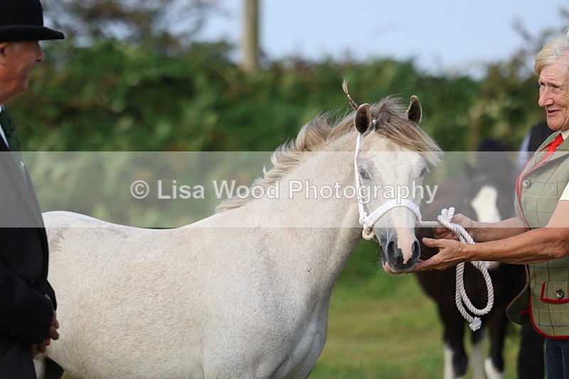 3E7A3258 - Class 12: M & M Small Breeds