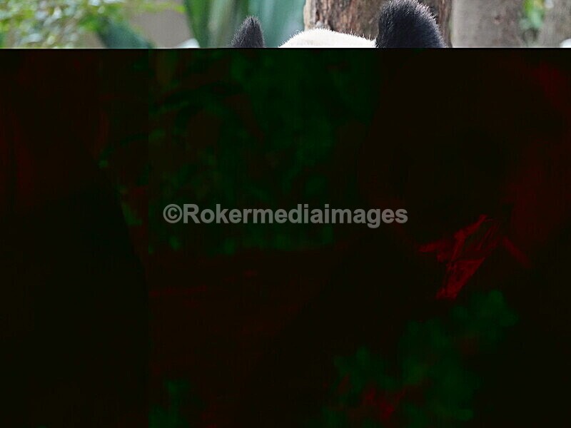 CHINA__0076 - China 2019