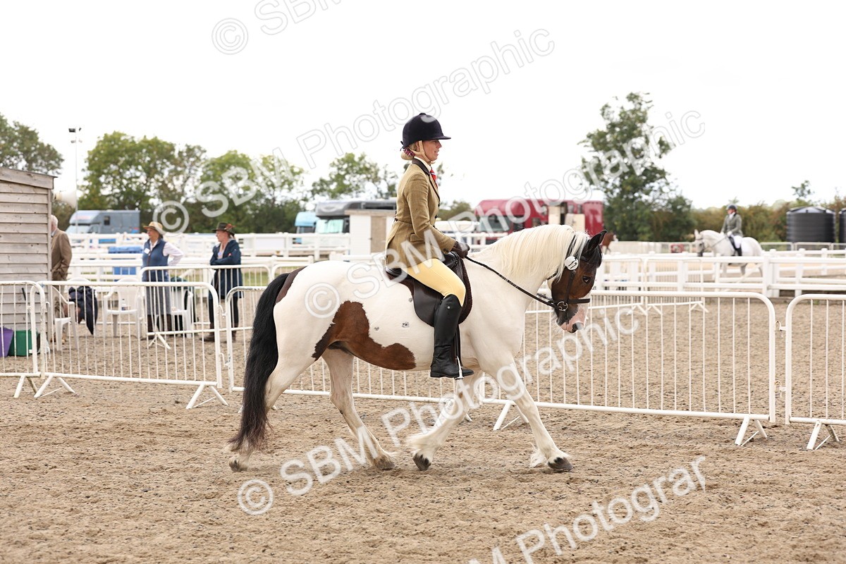 SBM_04188 - Class 54 - Riding Club Horse/Pony