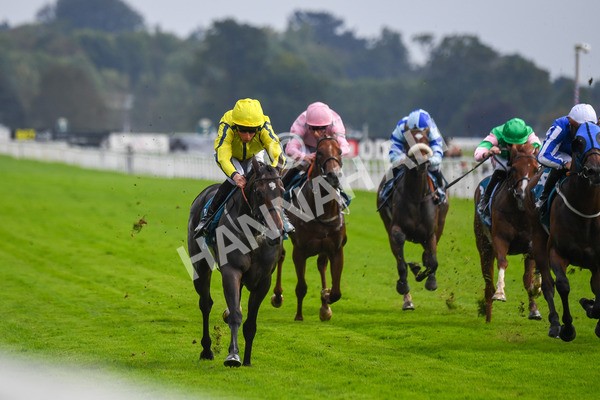 100923-Race 4-Tropical Island-0761 - Race 4 3.15pm Edge Windows Nursery Handicap at York