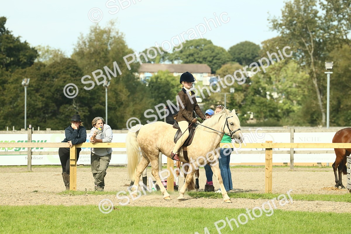 SBM_68832 - S58 - Mini Show Cob Ridden