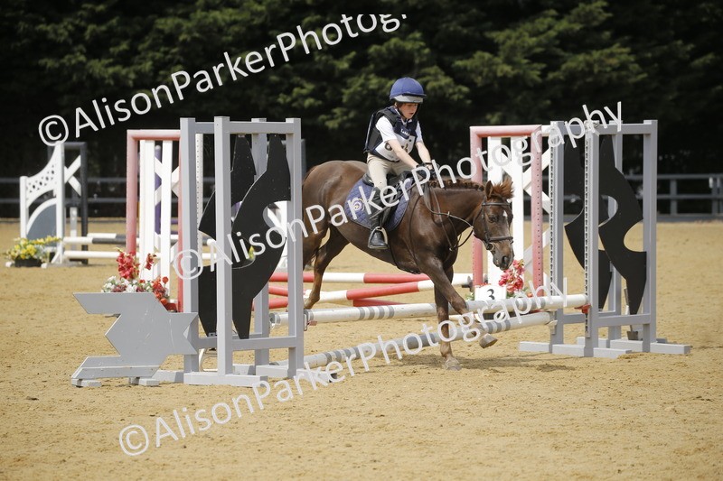 20250622-4103 - 50cm