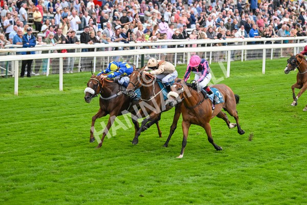 080925-Race 3-Rock N Roll Pinkie-7526 - Race 3 3.30pm Skybet Proud To Support ROR Stayers Handicap