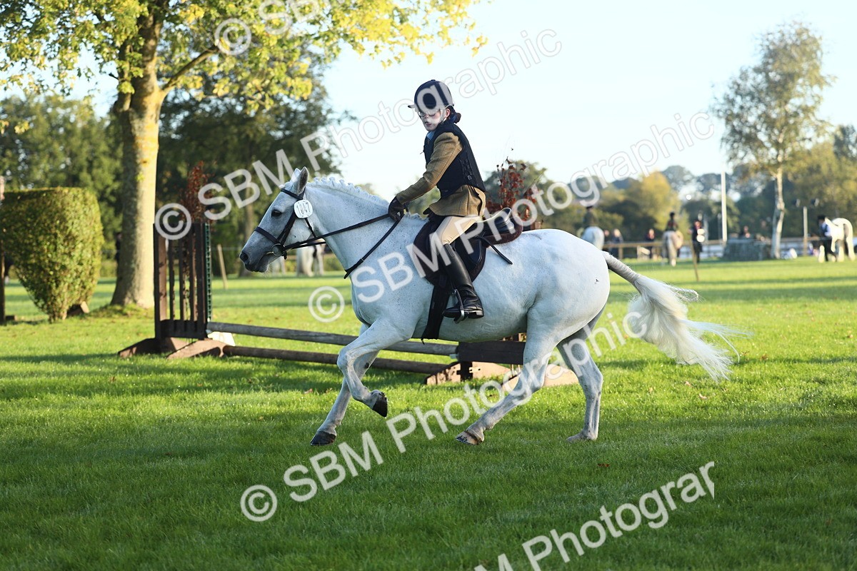 SBM_31725 - S28 - Nursery Stakes Working Hunter Pony