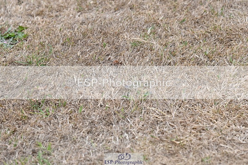 250820A-180348-12479 - Wednesday Presentations