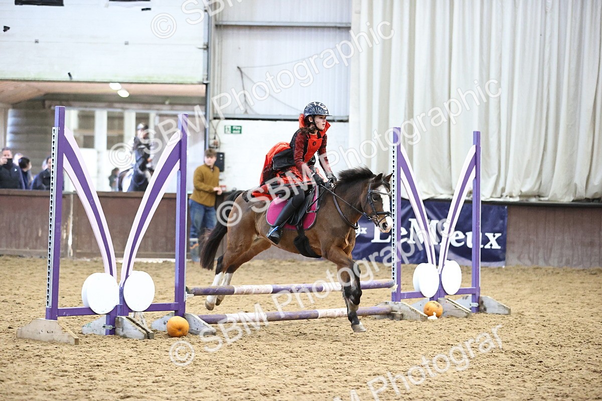 SBM_000560 - Class 2 - Show Jumping 50cm
