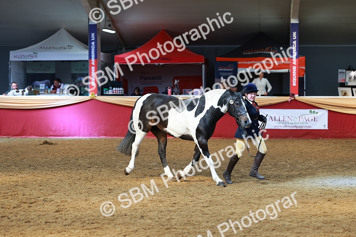 SBM_18500 - Class 903 - Sup Final - IH Pre Vet