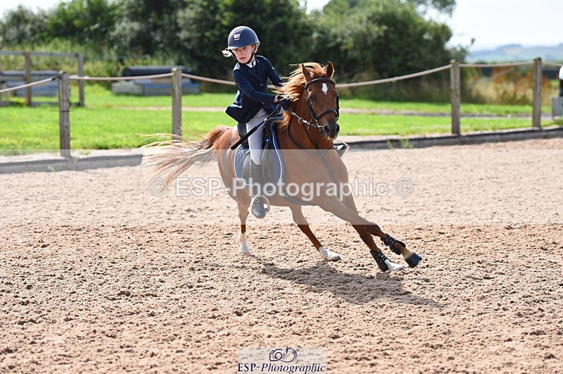 230716A-100556-01959 - Cls 35 Springboard 128cm & 138cm