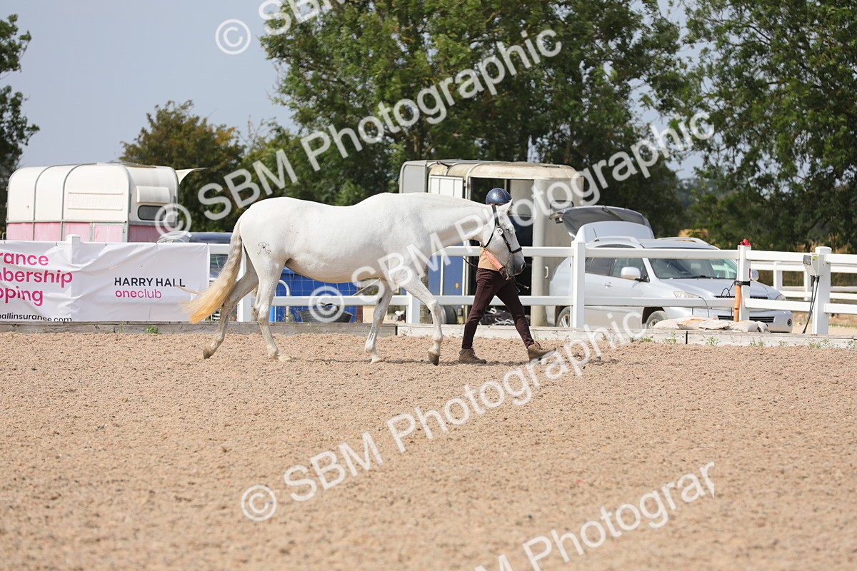 SBM_15650 - Class 312 IH Competition Horse/Pony